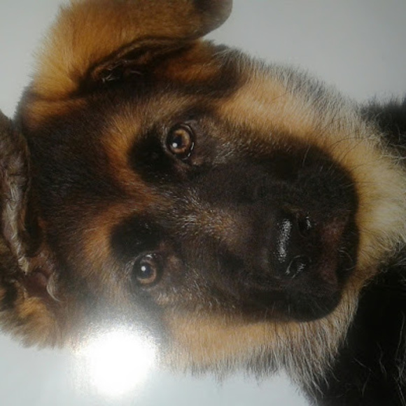 Meet your Posher, Julianna - Picture 1 of 1